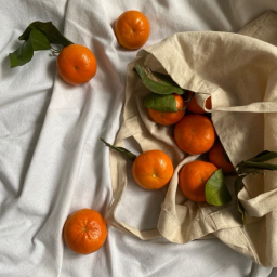 *:･🍊~