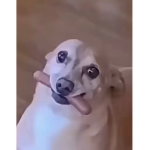 LilixAva