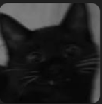 Felix,Clothing