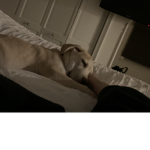 CharzlieYT