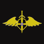 1st Special Operations Team "Vultures"