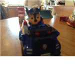 Paw patrol fan club