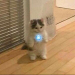 𝙁𝙡𝙚𝙧𝙠𝙚𝙣𝙨