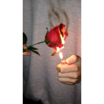 Rose Faction And Clothing