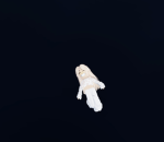 Roblox_Giveaways_4U