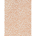 Alexa's Aesthetic Shop
