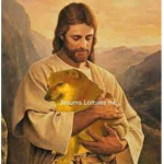 The Holy Cheems