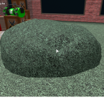 !Bush Squad!