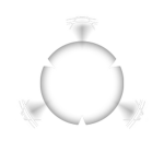 Primordial Elements