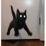ＫＩＴＴＹｓ④ＥＶＥＲ