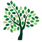 Clayside Academy