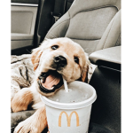 - </3 -