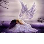 ✯Wings of London✯