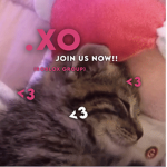 .xo
