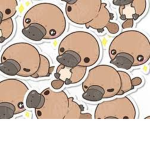 The platypus people!:)