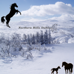 Northern Hill stables