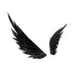 Tarnished Wings