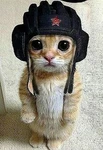 Rojo's Soviet Military Clothing Group Thumbnail