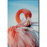 Flamingos 1