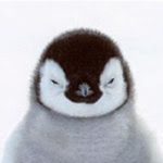 Mighty Penguin Fan Club