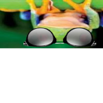 Savage Frog Group Chat!