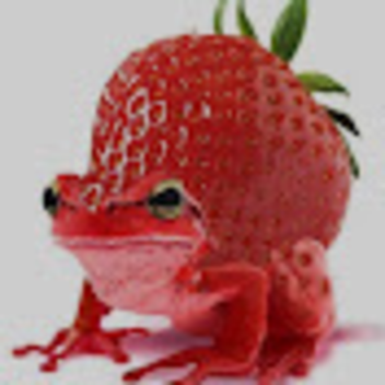 test etmek test etmek