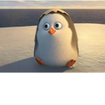 penguin i love yes