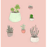 - nova's homestore -