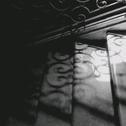 ゚゚゚゚゚゚