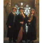 harry potter fan group <33