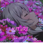 彡NATURE$