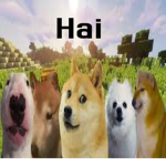 Dogeverse