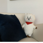 KIMSEOKJIN RJ