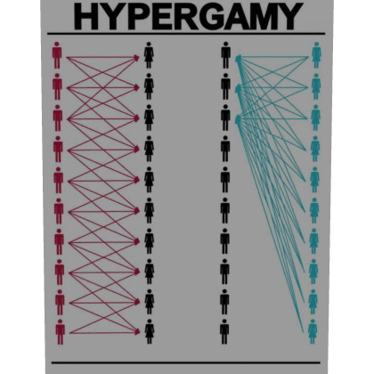 Hipergamia   