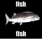 fish worship