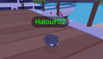 Magnet Groups