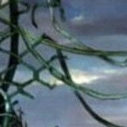 ・