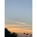 ix.sara_