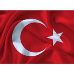 turkler geliyo