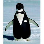 The Penguins only