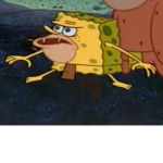 Spongeb0b meme fan club