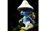 Babyjays TikTok fan group