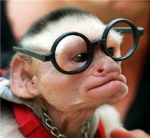 Mr. Wilson's Monkey Nerd Army!