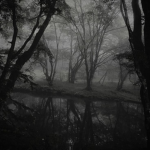 body found in the forest