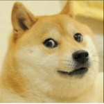 awesome Doges!!