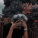 -:- ᴅᴜᴍʙʟᴇᴅᴏʀᴇ's ᴀʀᴍʏ -:-