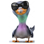 PIGEONS ARE THE BEST!