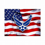 The United States Air Warfare Forces