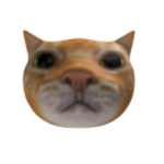 Tiger the cat RULES