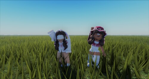 Grassy Fields 